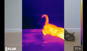 thermal view