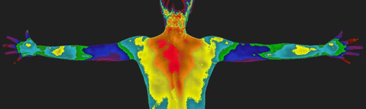 Medical thermography